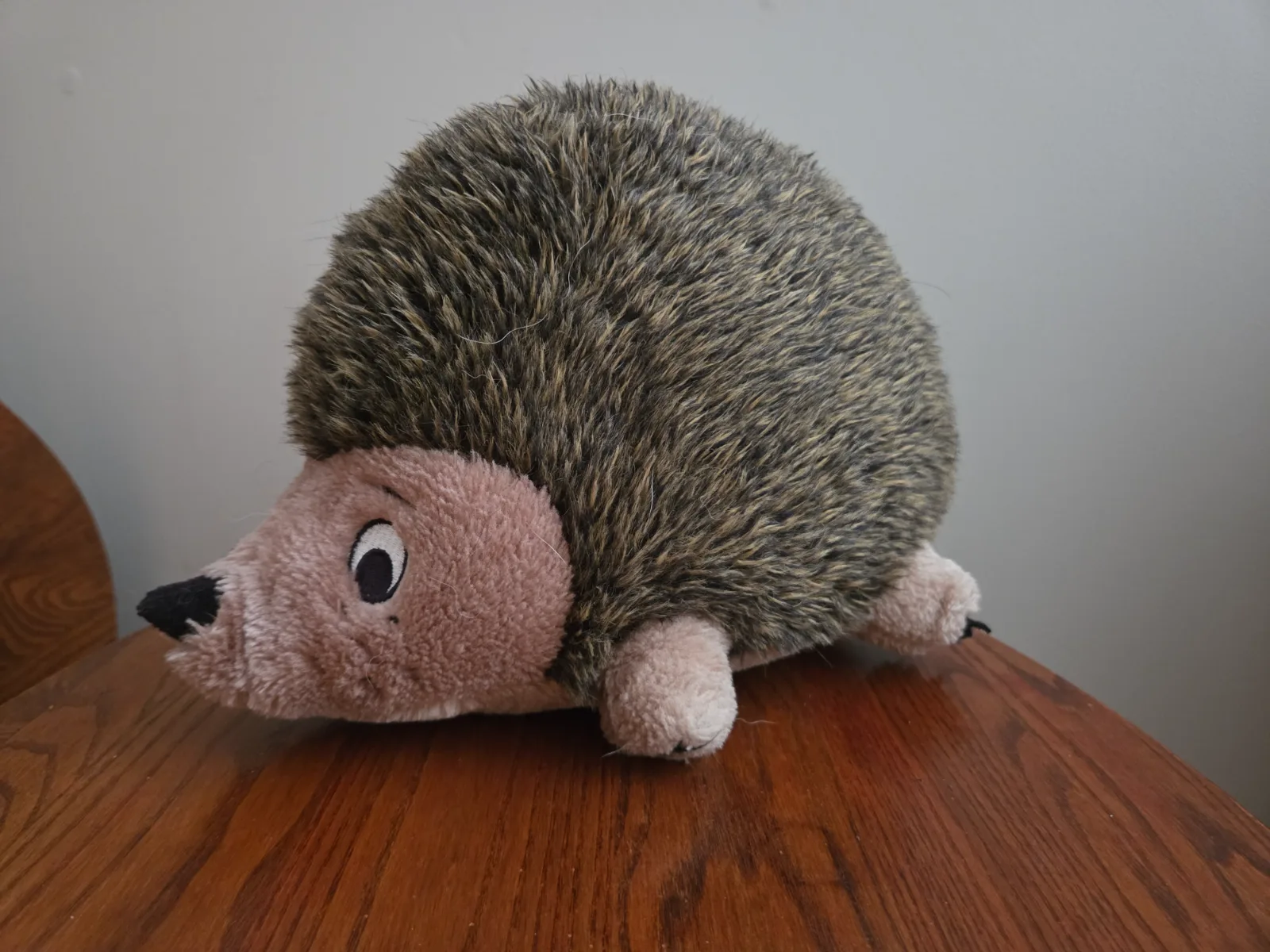 Dog Toy Hedgehog