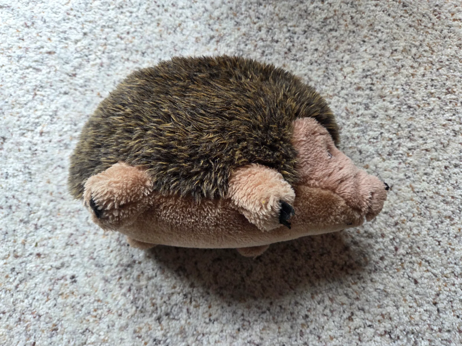 Dog Toy Hedgehog