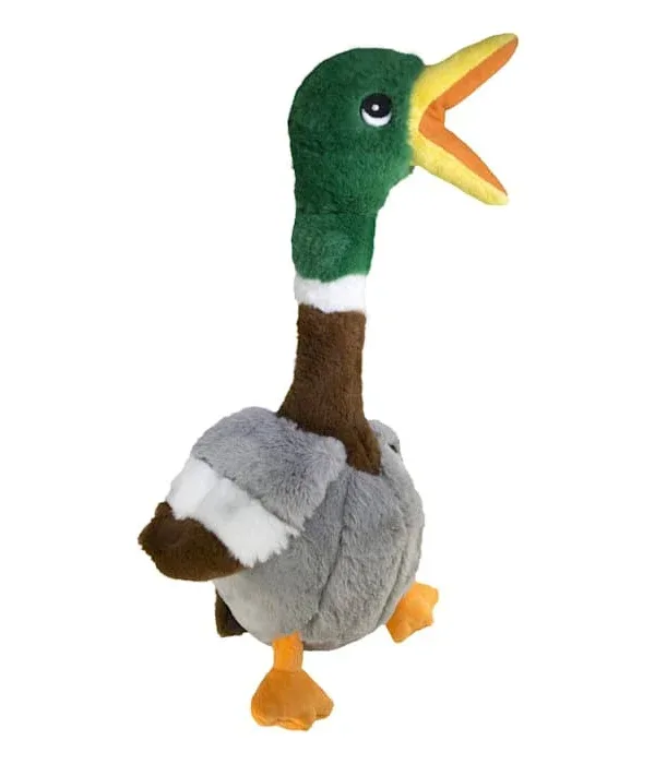 test listing - green duck