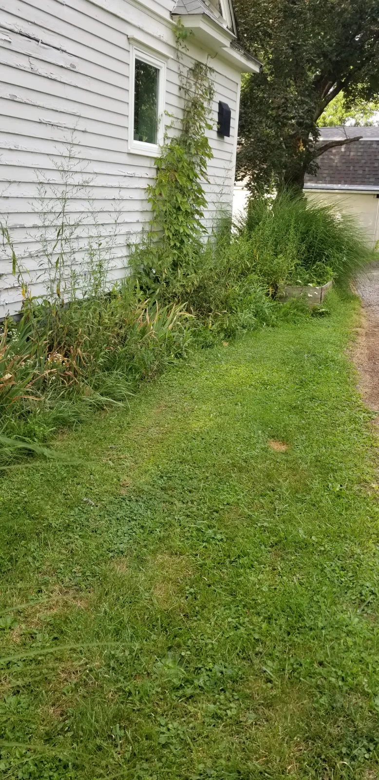 Weed my flowerbed photo 3